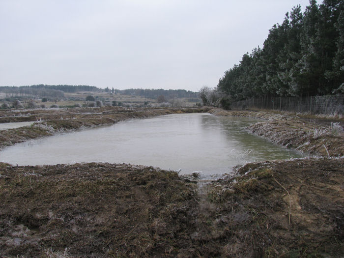Wetland in 2009