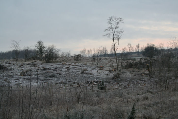 Frost on the reserve