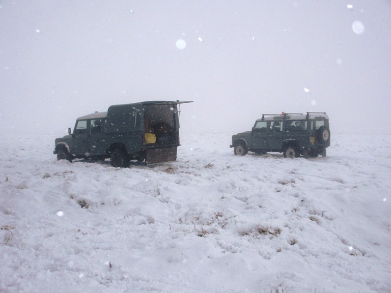 Landrovers in snow