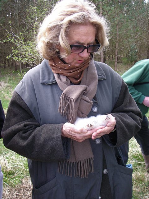 Annie with Tawny Owl chicks