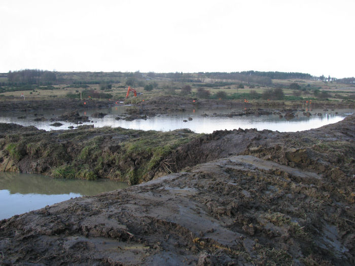 The wetland in December 2008