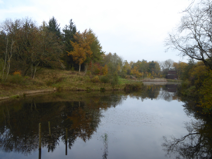Autumn colours at the lake