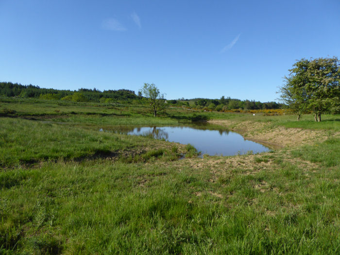 Plover's Pool