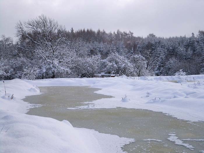 Frozen ponds