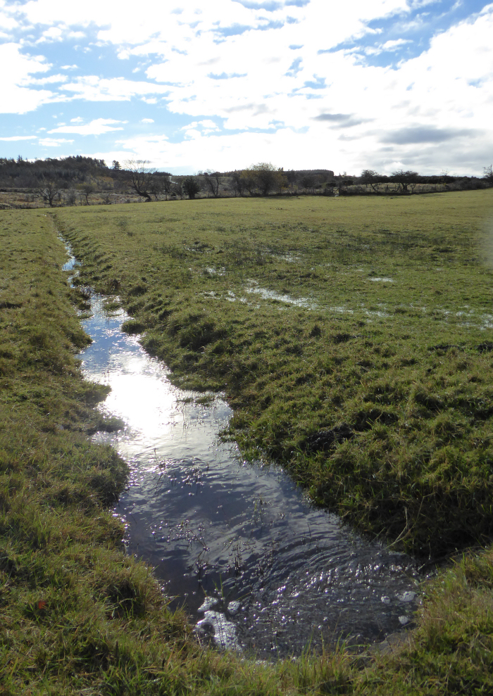 Ditch on middle moor