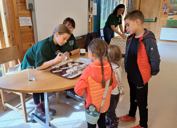 Children around a table looking at insects in containers.