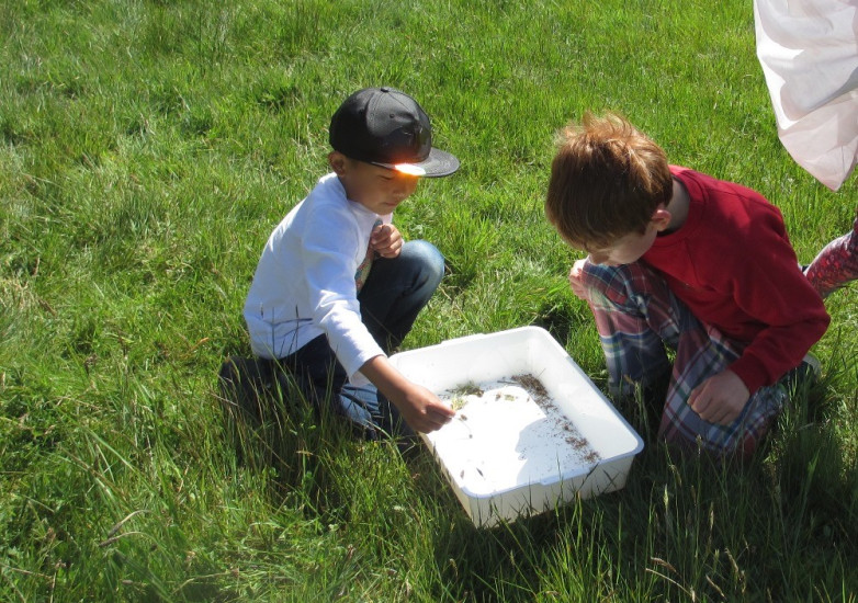 Sweep Netting in the Sunshine blog post image
