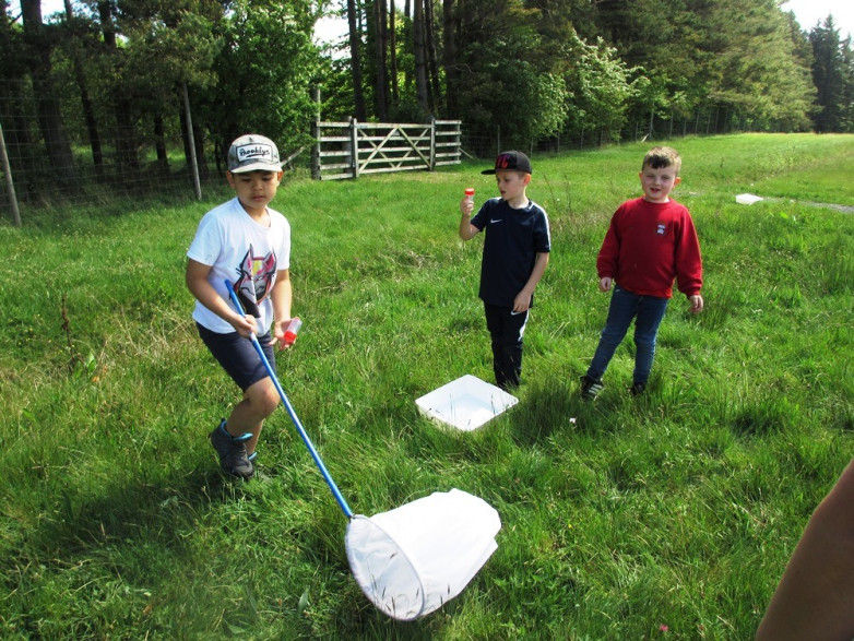 Sweep Netting in the Sunshine blog post image