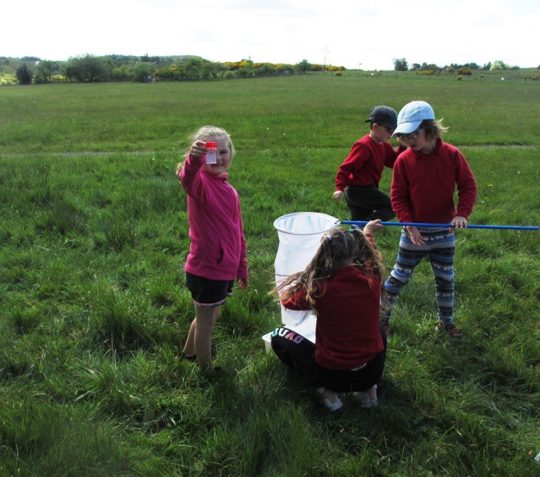 Sweep Netting in the Sunshine blog post image