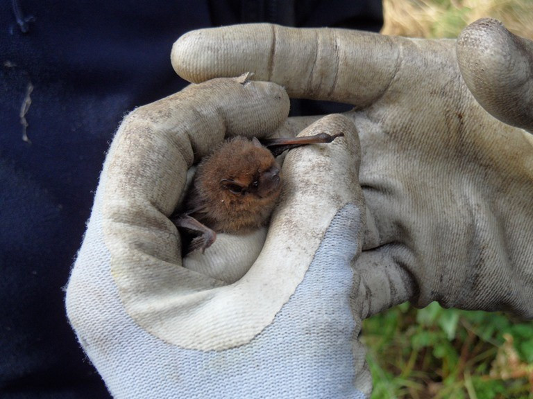 What’s in the Box?! blog post image