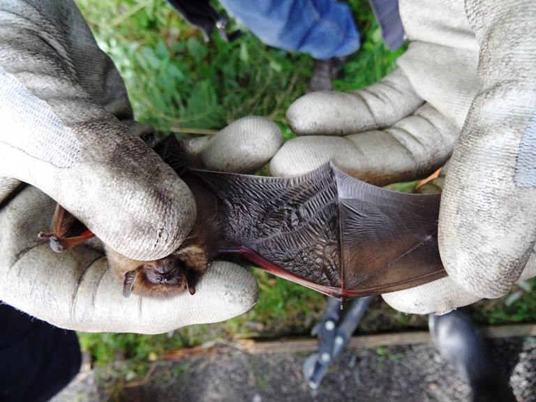 What’s in the Box?! blog post image