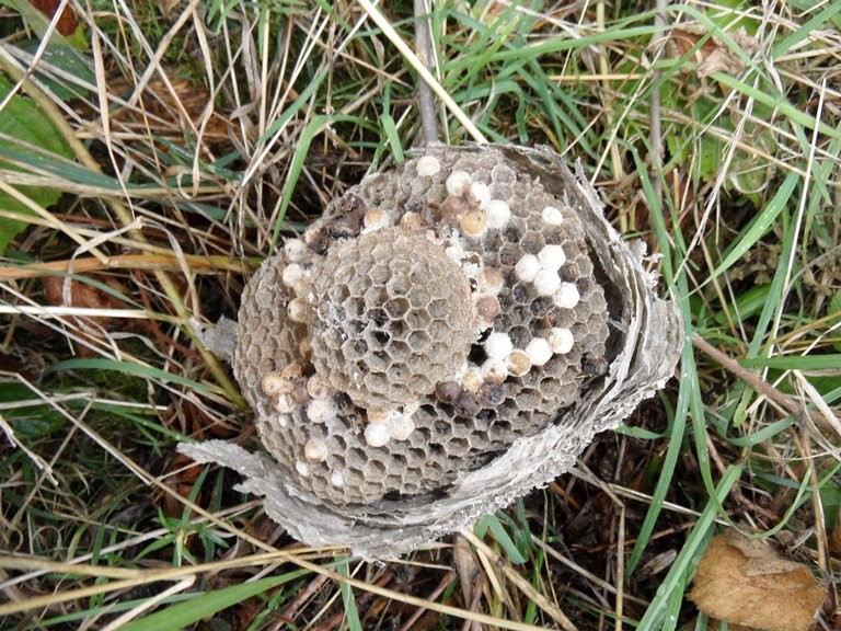 What’s in the Box?! blog post image