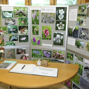 All was ready in the Activity Room, a display about Foxglove and the visitors book ready to be signed.