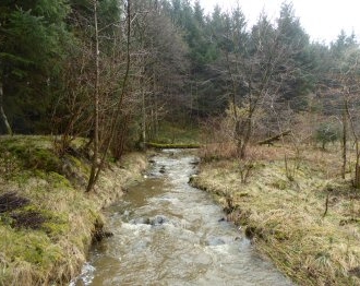 Risedale Beck Image
