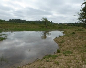 Plover's Pool Image