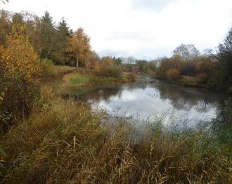 Lake and Hide Image