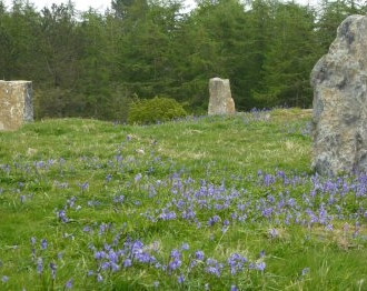 Stone Circle Image