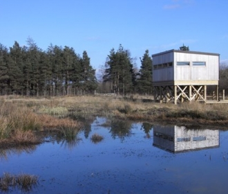 Wetland Image